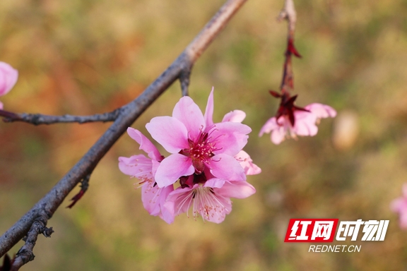 yL23411永利集团官网登录