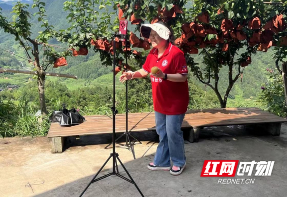 yL23411永利集团官网登录