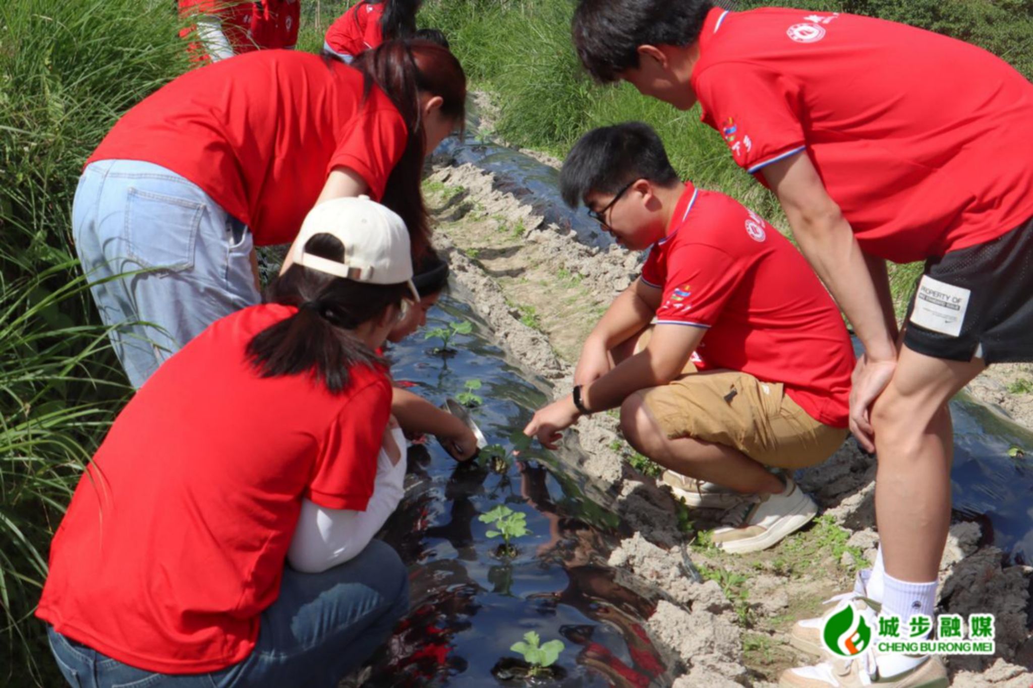 yL23411永利集团官网登录