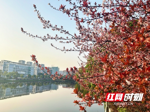 yL23411永利集团官网登录