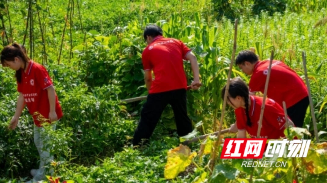 yL23411永利集团官网登录