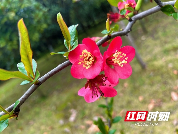 yL23411永利集团官网登录