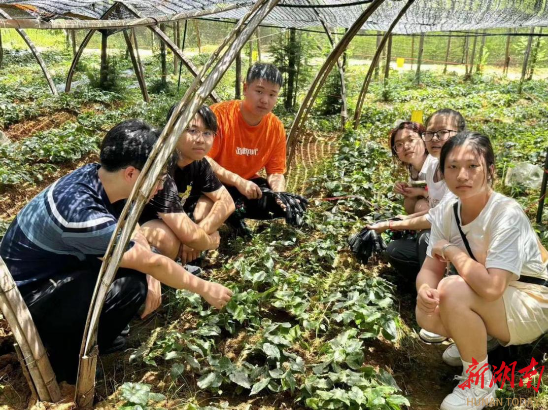 yL23411永利集团官网登录