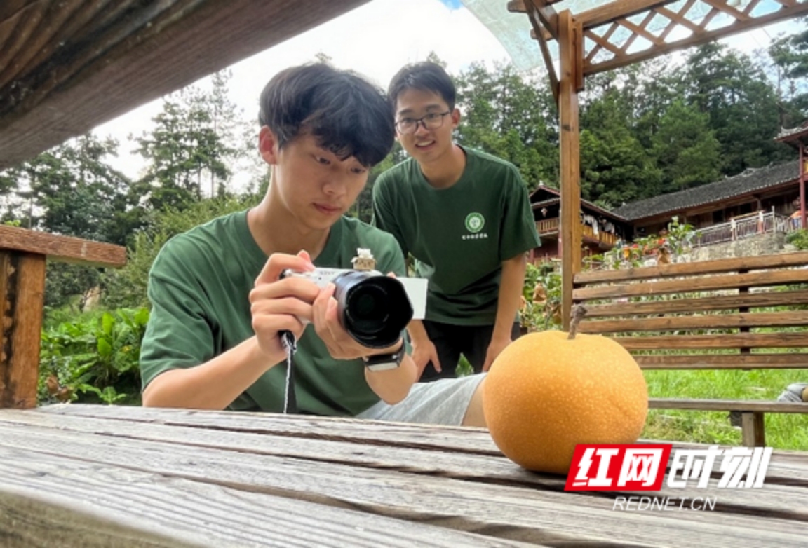 yL23411永利集团官网登录