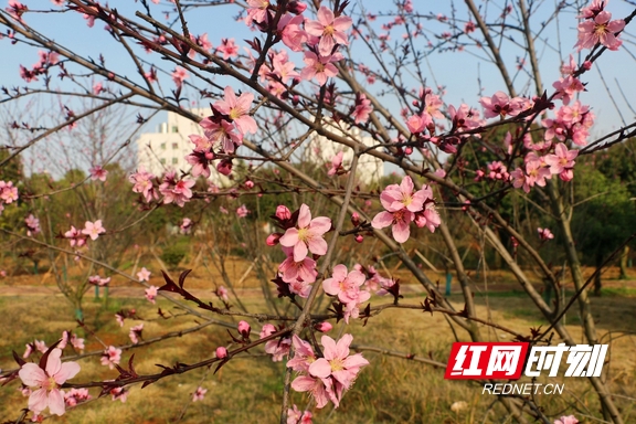 yL23411永利集团官网登录